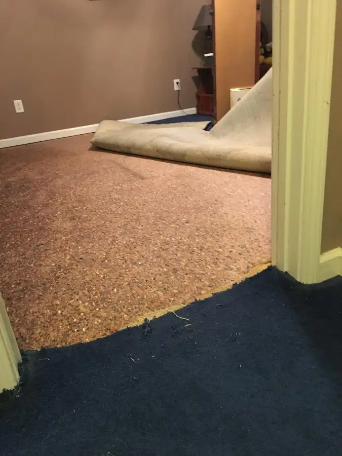 Carpet pad removal revealing water damage during Drying & Dehumidification in Sonoma