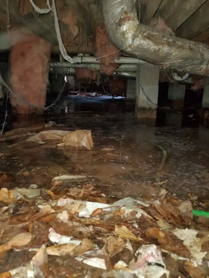 Crawl space flood assessment for Leak Detection & Repair in Sonoma
